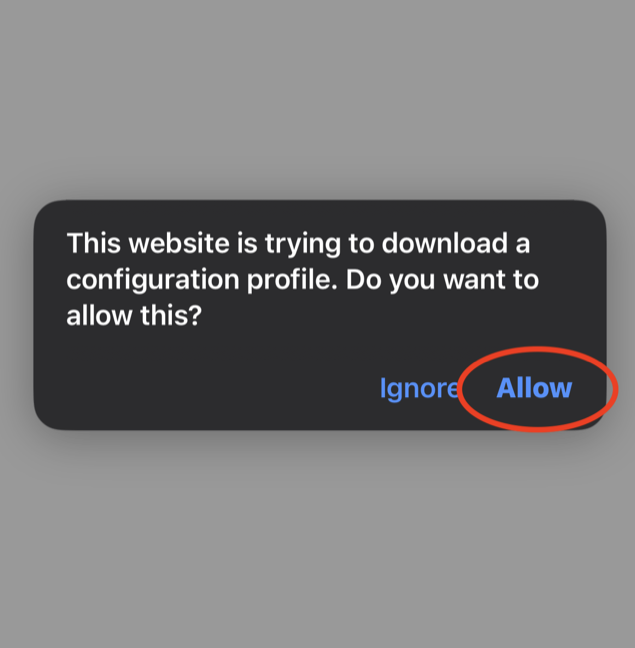 In-app browser at 127.0.0.1 with the iOS dialog: This website is trying to download a configuration profile. Do you want to allow this? The Allow button is circled.